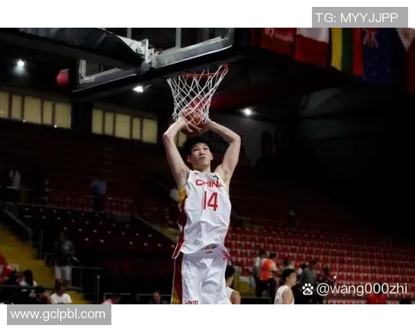 2017年男篮对阵埃及精彩回顾与赛场瞬间分析